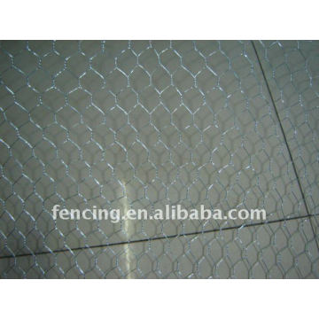 Galvanized Hexagonal Wire mesh